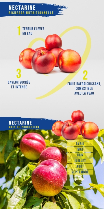 Nectarine