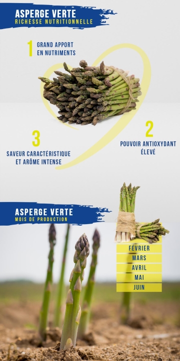 Asperge Verte