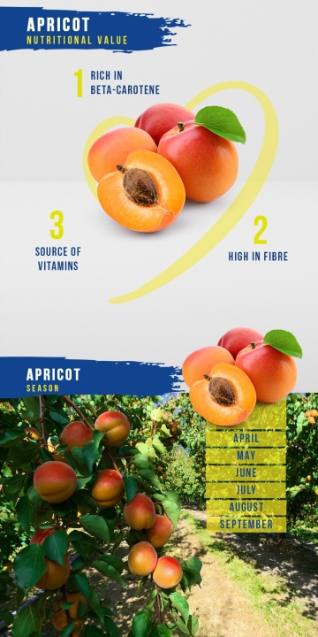 Apricot