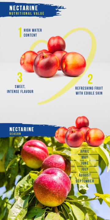 Nectarine