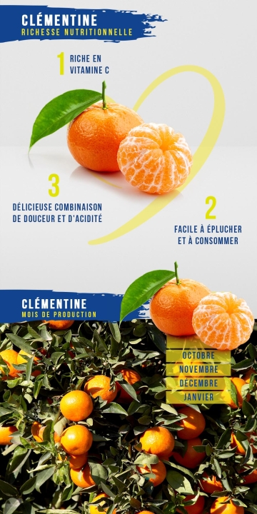 Clémentine