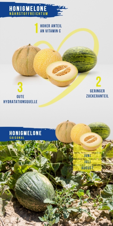 Honigmelone