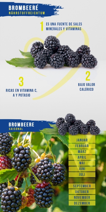 Brombeere