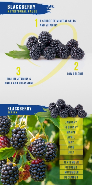 Blackberry