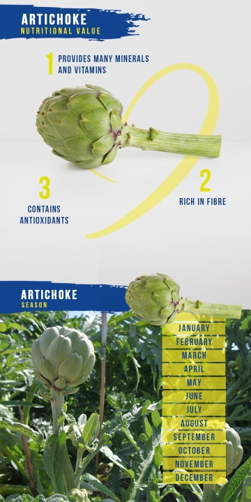 Artichoke