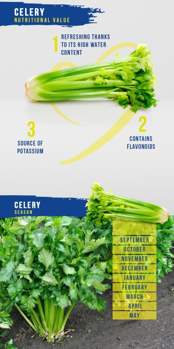 Celery