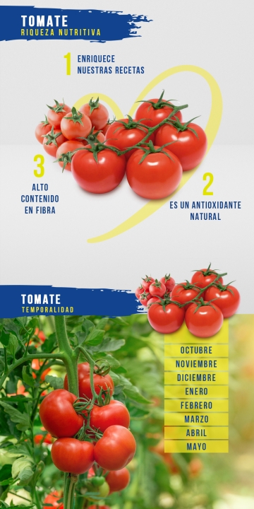 Ficha técnica Tomate