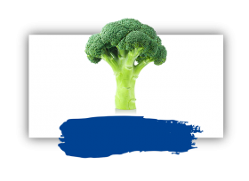 Broccoli